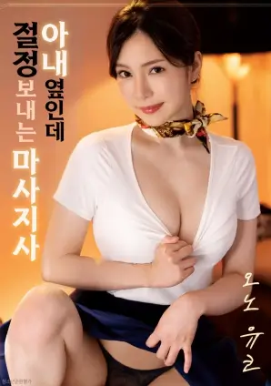 妖刀纪年和风剑戟动漫h封面